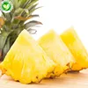 Hot selling newest sweet cheap peeled frozen pineapple chunk