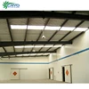 walk freezer freezing chamber cold storage door thailand export tuna fish