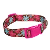 Petstar High Quality Durable Using Nylon pet Dog cat Collars