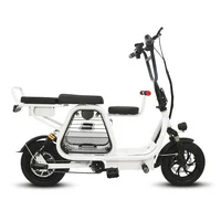 

400w 48v 12 inch 2 wheels folding electric bicycle double disc brakes can bring pets 3 seater electric bike