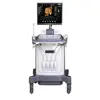 Big HD screen digital pregnancy test color doppler scanner