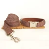 wholesale handmade high quality dog collar like gentleman THE BROWN SUIT dog collar leash set 5 size