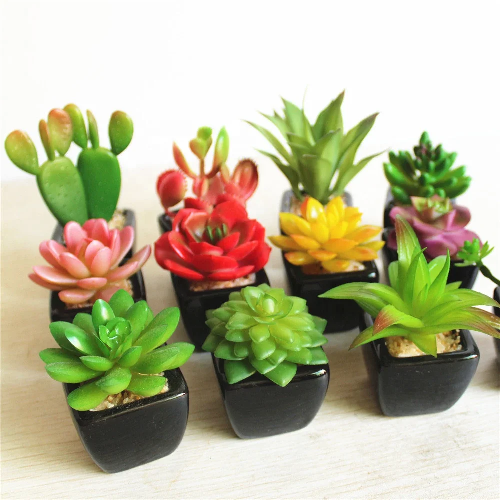 

Mini Succulent plant Black Square Bonsai artificial succulent pot, Picture