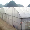 Agricultural Plastic Multi-span Arch Type Film Hydroponic Greenhouse
