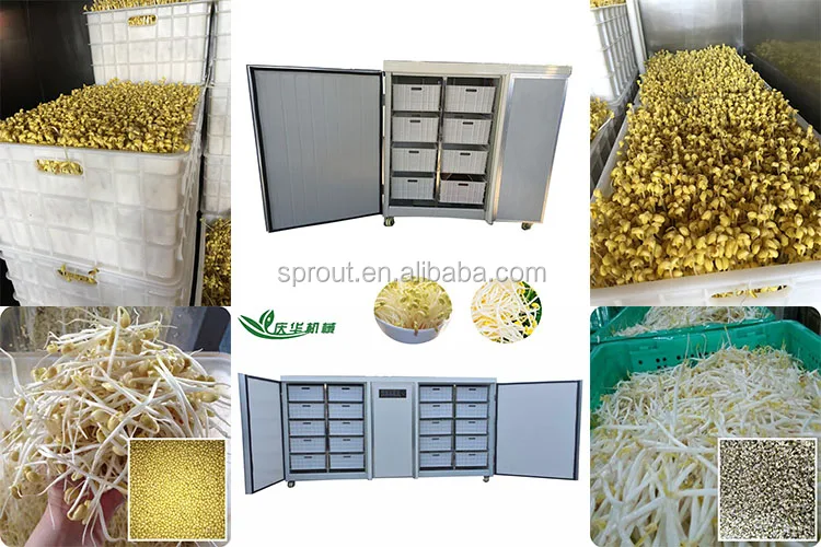 
Specialized Production Bean Sprout Machine 