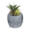 Eco friendly succulent plant pots, flower pot stone