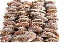 
Frozen Feeder Dubia roaches for birds geckos lizards reptile pet treats 