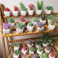 

Hot indoor decoration Mini Artificial Plants potted with mini white square base for home decoration