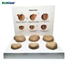 Factory Price Anatomical Human Prostate Progressive Disease Set of 6 Anatomical Models