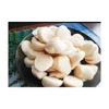 Japanese Frozen Live Types Shell Seafood Wholesale