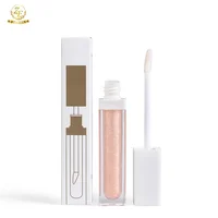 

Wholesale No Logo Custom Private Label Seven colors Lipgloss set