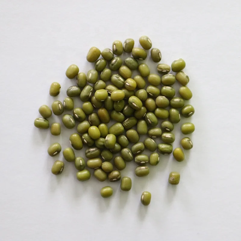 
Prime High Quality Green Mung Beans for Sprouting 