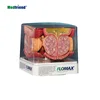 Factory Price Advanced Anatomical Four Sided Prostate Model