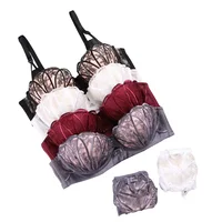 

high quality women french lace bra brief set stylish embroidery lace bra set new designed women underwear set