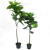 Cheap Green Artificial Fiddle Leaf Fig Tree for Garden