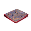Different Series Colors paisley Pattern Pocket Square