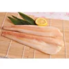 Frozen Alaska Pollock fillet Blocks