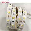Double copper PCB SMD2835 2 in1 double color DC12V CW+WW Epistar chip LED strip with 3 years warranty