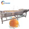 Brocco Prickly Pear Group Washing And Cleaning Machine Drying