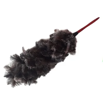 black ostrich feather duster
