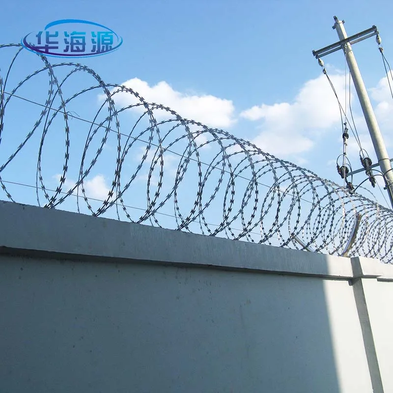 barbed wire mesh