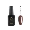 Professional Modern Design Polish Factory Nail Color Gel Nail Color Gel