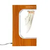 Fashion levitating magnetic shoes showroom display and shoes display props sever led display shoes