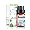 Top 8 Factory price good smelling pure chamomile essential oil bottle 10ml aroma oil for diffuser