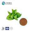 Free Sample Carminative fresh mint leaves extract