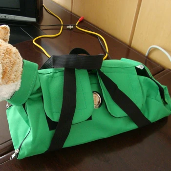 cat bag vet