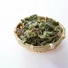Wholesale Dried Mint Leaves