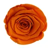 India rose flower birthday gift item 2-3cm preserved rose flowers head made in china