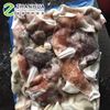 frozen giant Indian ocean black squid neck for Thai market seafrozen big size
