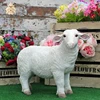 /product-detail/merino-ram-farm-animal-life-size-fiberglass-sheep-sculpture-ntrs-cs815a-60594321653.html