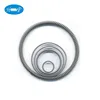 Oil Seal Spring Oil Seals with Iron Spring Insert