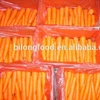 Fresh chinese Carrots high quality cheap price local producer
