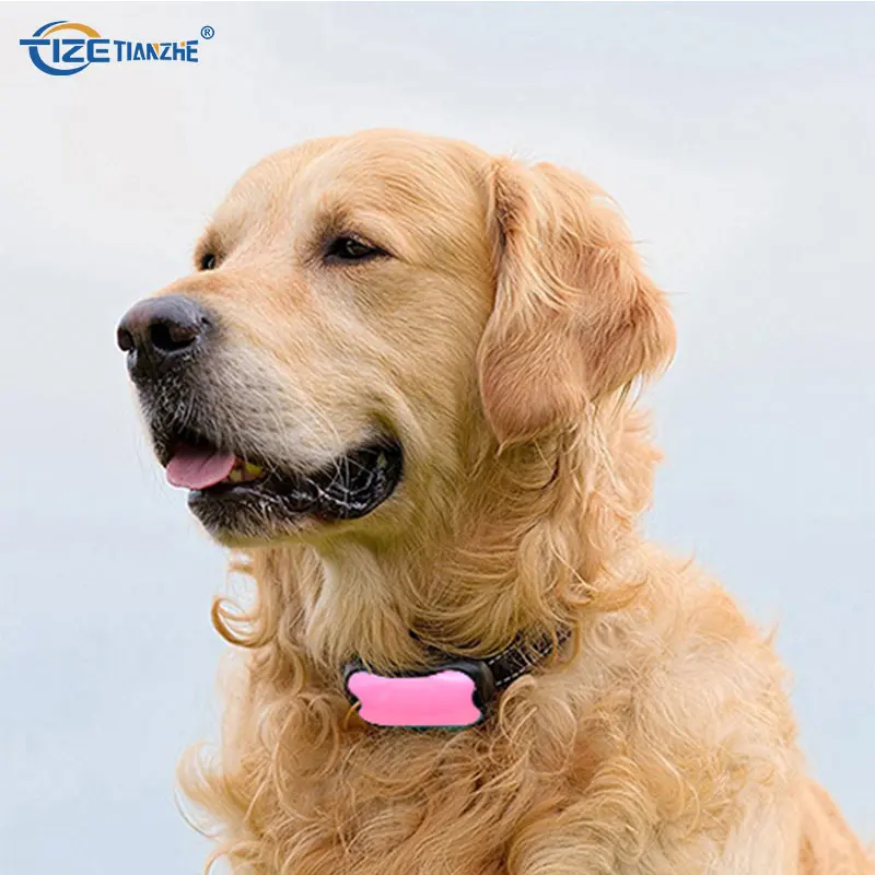 

Shenzhen Tize Dog Training Collar Anti Bark No Shock Collar, N/a