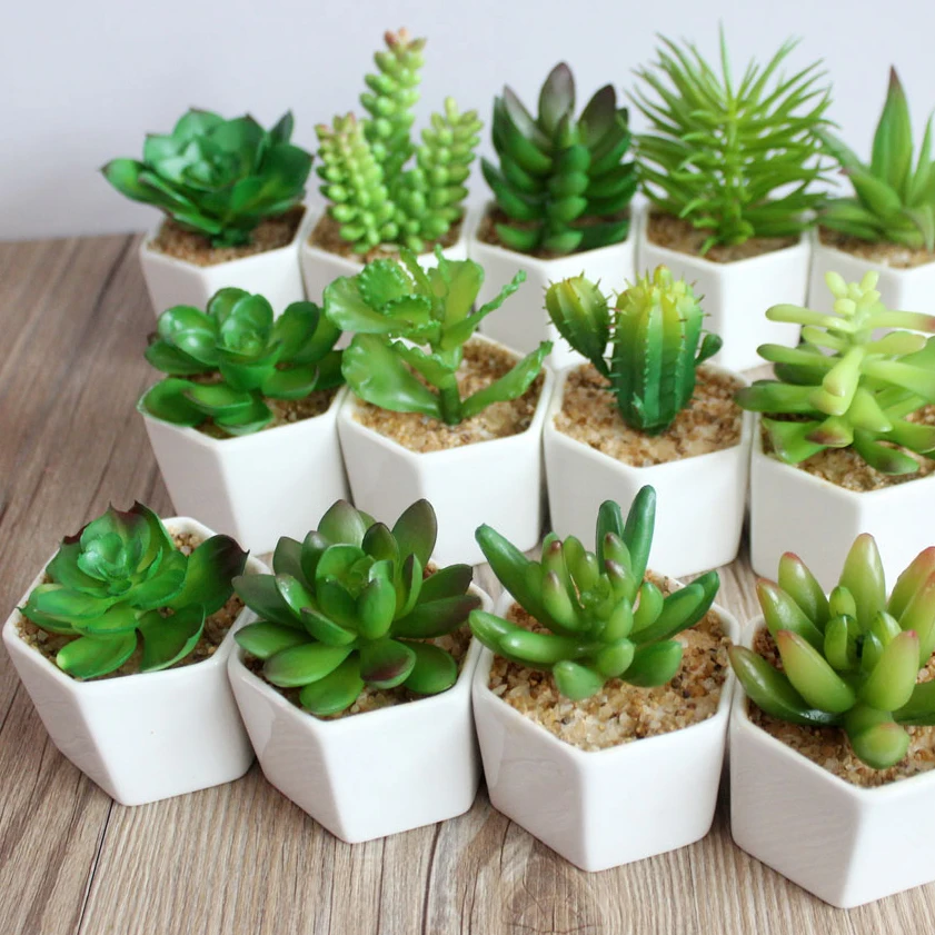 

Wholesale Small Artificial Plants Potted Succulents for Desk Decoration, White pot with green plant