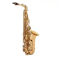 

Professional Instrument Chinese cheap Wind Alto Saxophone