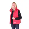 Fashion custom vest Dual Zone separate Control Wholesale Winter women's heated vest ladies