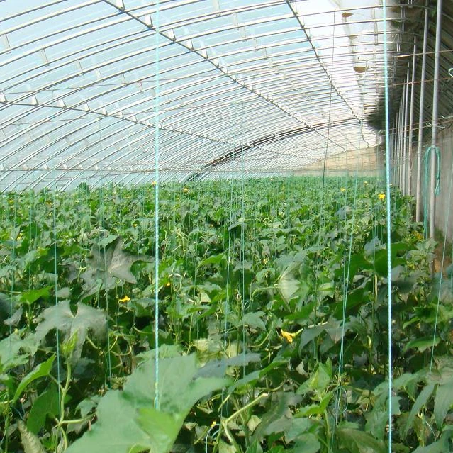 
Solar Greenhouse Covered By 150/180/200 micron polythene film 