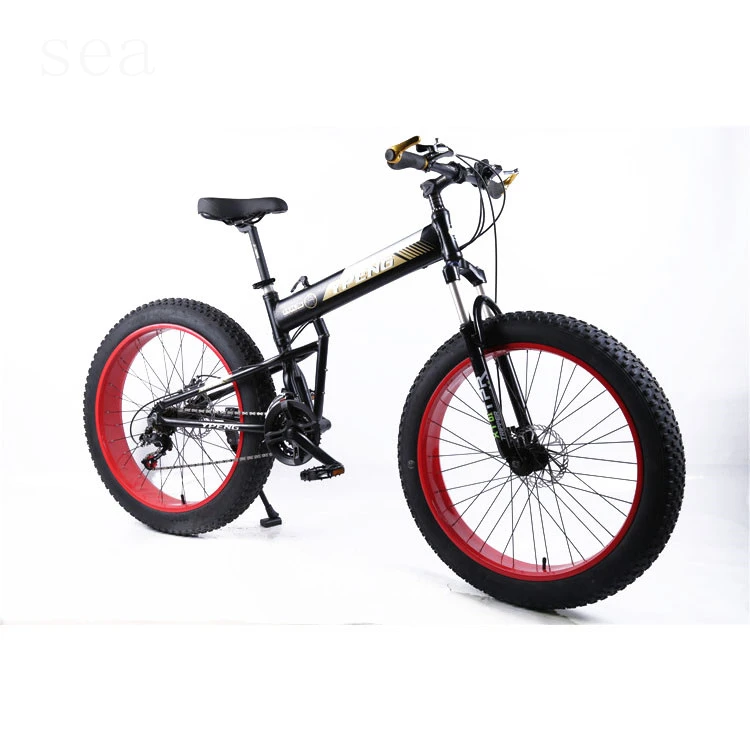 single speed fat bike