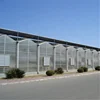 Complete steel structure polycarbonate Greenhouse Project builder and contractor and manufacturer for chili planting