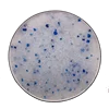 Silica gel cat litter
