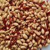 Hot sale new arrival spicy peanut with high quality