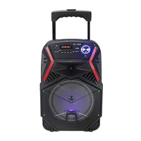 

Big wireless trolley speaker bluetooth portable