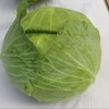 Hot sale Green cabbage 2019year new crop