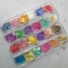 Hot sale nail art nature aurora shell plate nail shell plate summer shell nail