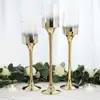Set of 3 Chrome Gold Long Stem Pillar with Ombre Glass Tubes hurricane Candle Holders