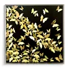 Home Decor Acrylic Framed Golden Butterfly 3D Frames Shadow Box Popular Wall Art